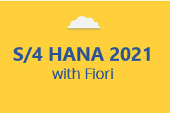 SAP S/4 HANA 2021 with Fiori - Annual Subscription
